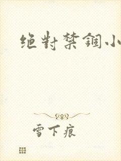 绝对禁锢小说