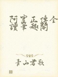 阿宾正传全文阅读笔趣阁