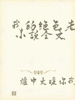 我的绝色老板娘 小说全文封面