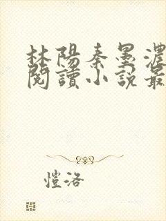 林阳秦墨浓免费阅读小说最新章节更新封面