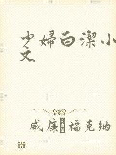 少妇白洁小说全文