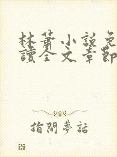 林萧小说免费阅读全文章节