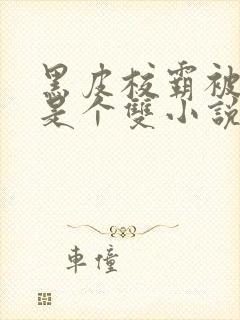 黑皮校霸被发现是个双小说封面