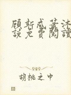 顾斯成萧沐晴小说免费阅读