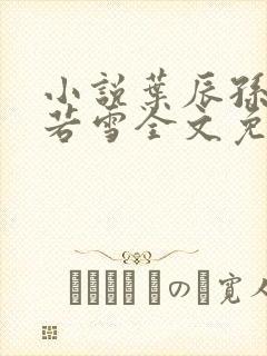 小说叶辰孙怡夏若雪全文免费阅读