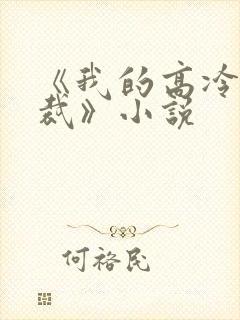 《我的高冷女总裁》小说