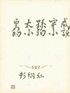 皇太孙穿成我捡的小狗小说在线阅读
