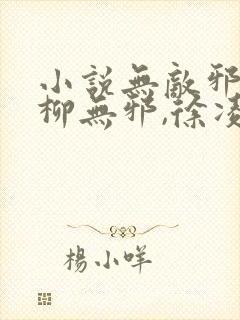 小说无敌邪神,柳无邪,徐凌雪