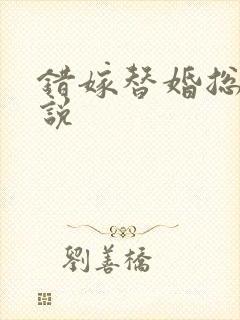 错嫁替婚总裁小说