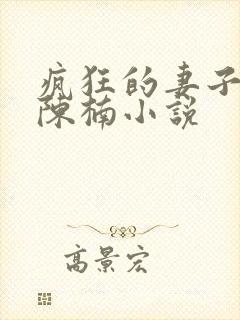 疯狂的妻子林瑶陈楠小说封面
