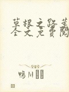 草根之路叶泽涛全文免费阅读笔趣阁封面