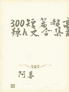 300短篇超高辣h文合集乱