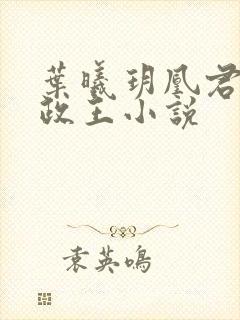 叶曦玥凰君夜摄政王小说
