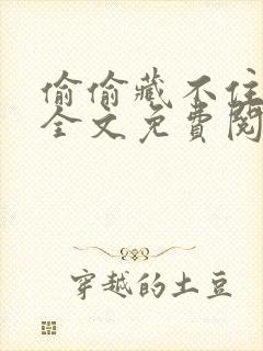 偷偷藏不住小说全文免费阅读免费