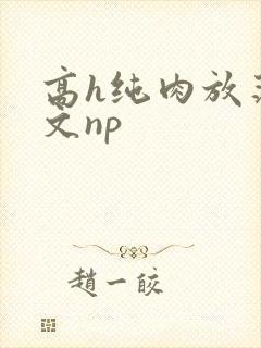 高h纯肉放荡h文np
