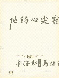他的心尖宠1v1