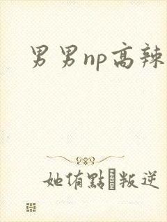 男男np高辣文