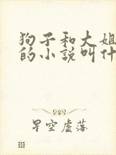 狗子和大姐二姐的小说叫什么