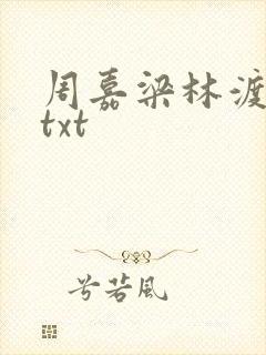 周嘉梁林渡小说txt