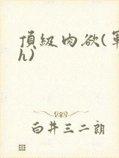 顶级肉欲(军高h)