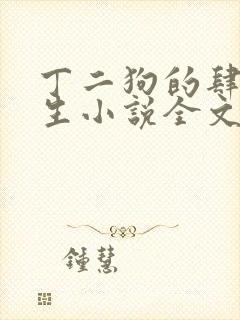 丁二狗的肆意人生小说全文免费阅读封面