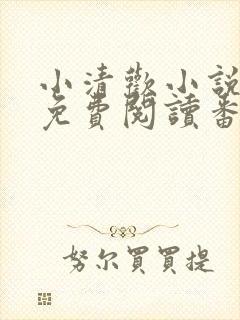 小清欢小说全文免费阅读番外篇