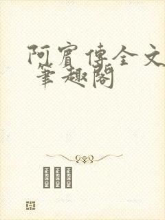 阿宾传全文阅读 笔趣阁