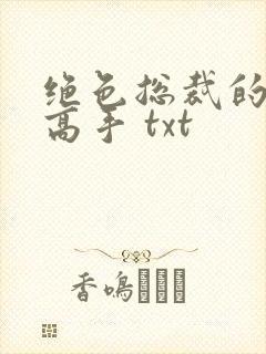 绝色总裁的超级高手 txt