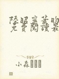 陆昭宁萧昀全文免费阅读最新章节