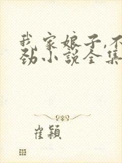 我家娘子,不对劲小说全集txt