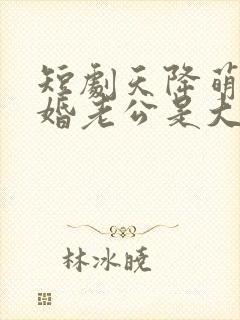 短剧天降萌宝闪婚老公是大佬
