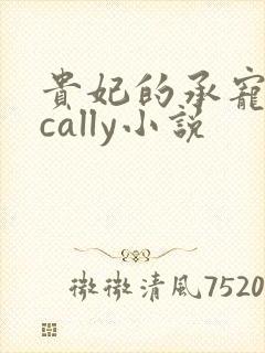 贵妃的承宠日常cally小说