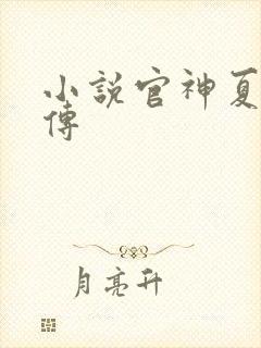 小说官神夏想外传