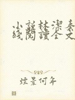 小说林洁秦齐在线阅读全文封面