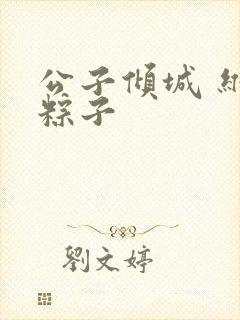 公子倾城 维和粽子