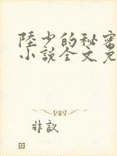 陆少的秘密恋人小说全文免费阅读无弹窗封面