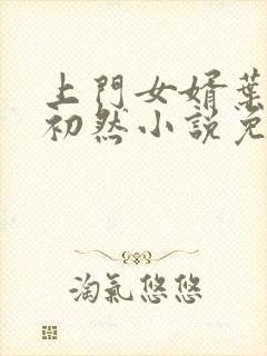 上门女婿叶辰萧初然小说免费阅读无弹窗封面