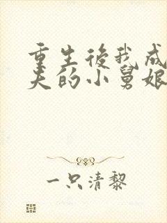 重生后我成了前夫的小舅娘 txt