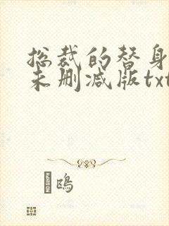 总裁的替身前妻未删减版txt封面