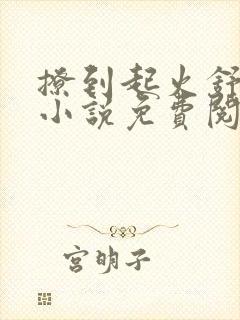 撩到起火舒漾的小说免费阅读全文