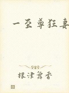 一至尊狂妻