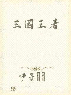 三国王者封面