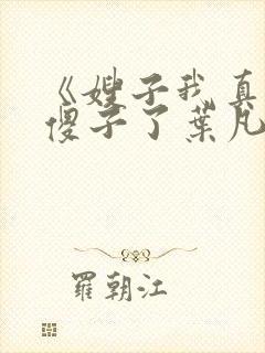 《嫂子我真不是傻子了叶凡》