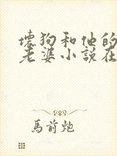 坏狗和他的可爱老婆小说在线阅读全文封面
