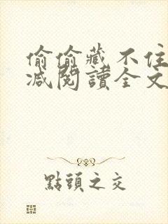 偷偷藏不住无删减阅读全文