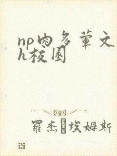 np肉多荤文高h校园