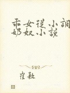 乖女从小调教h奶奴小说封面