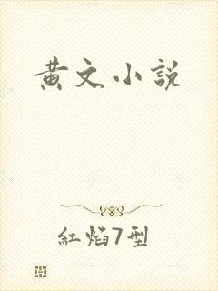 黄文小说封面
