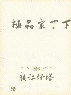 极品家丁下载