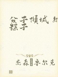 公子倾城 维和粽子